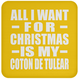 All I Want For Christmas Is My Coton De Tulear - Coaster