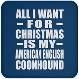 All I Want For Christmas Is My American English Coonhound - Coaster