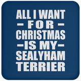All I Want For Christmas Is My Sealyham Terrier - Coaster
