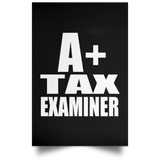 A+ Tax Examiner - Poster Portrait