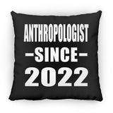 Anthropologist Since 2022 - Throw Pillow Black