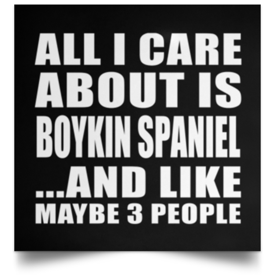All I Care About Is Boykin Spaniel - Poster Square