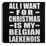All I Want For Christmas Is My Belgian Laekenois - Canvas Square