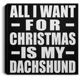 All I Want For Christmas Is My Dachshund - Canvas Square
