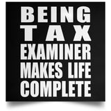 Being Tax Examiner Makes Life Complete - Poster Square