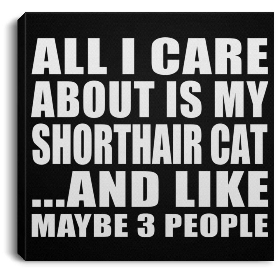 All I Care About Is My Shorthair Cat - Canvas Square