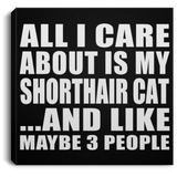All I Care About Is My Shorthair Cat - Canvas Square