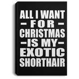 All I Want For Christmas Is My Exotic Shorthair - Canvas Portrait