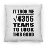 66th Birthday Took Square Root of 4356 Years To Look Good - Throw Pillow