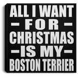 All I Want For Christmas Is My Boston Terrier - Canvas Square