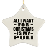 All I Want For Christmas Is My Puli - Star Ornament