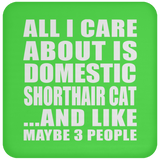 All I Care About Is Domestic Shorthair Cat - Drink Coaster