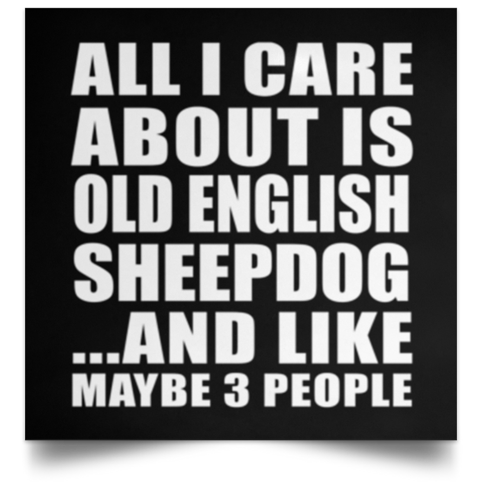 All I Care About Is Old English Sheepdog - Poster Square