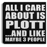 All I Care About Is Plott - Canvas Square