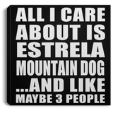 All I Care About Is Estrela Mountain Dog - Canvas Square
