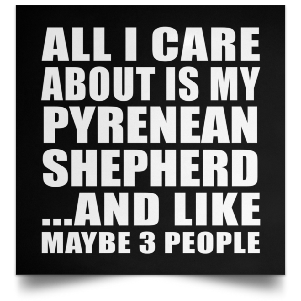 All I Care About Is My Pyrenean Shepherd - Poster Square