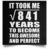29th Birthday Took Square Root of 841 Years To Awesome - Poster Square