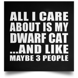 All I Care About Is My Dwarf Cat - Poster Square