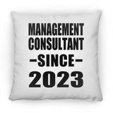 Management Consultant Since 2023 - Throw Pillow