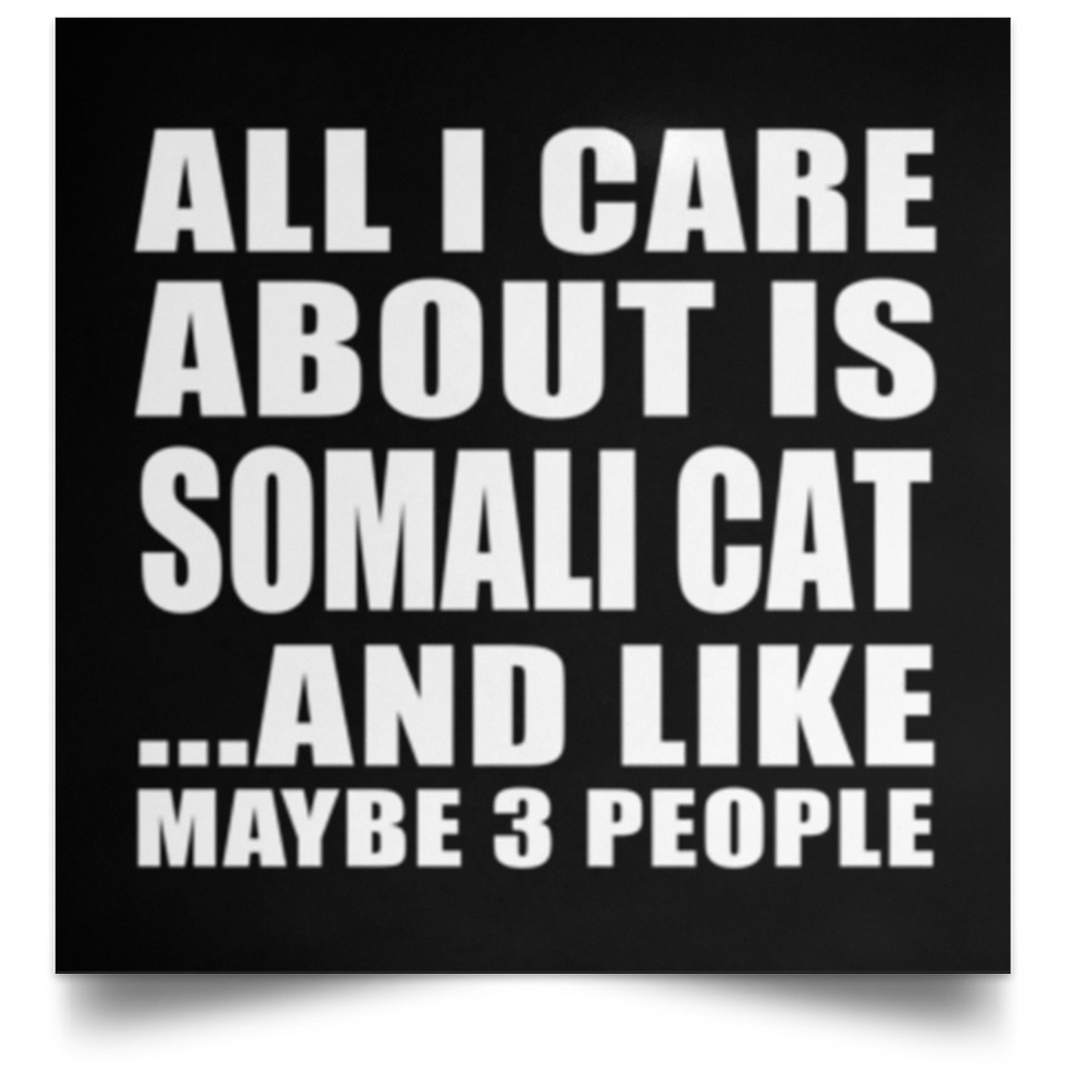 All I Care About Is Somali Cat - Poster Square