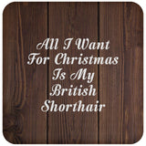 All I Want For Christmas Is My British Shorthair - Drink Coaster D
