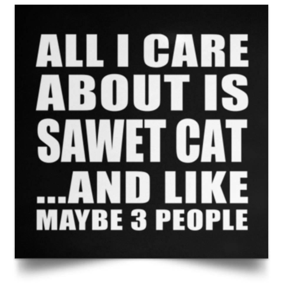 All I Care About Is Sawet Cat - Poster Square