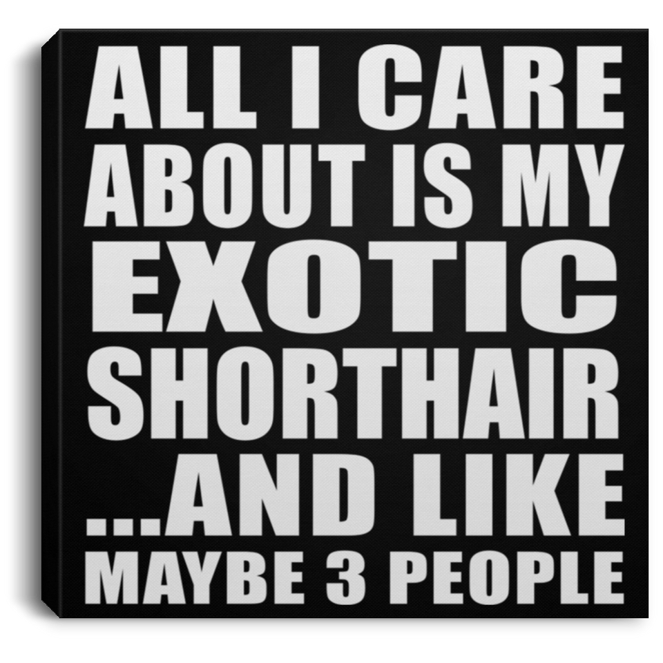 All I Care About Is My Exotic Shorthair - Canvas Square