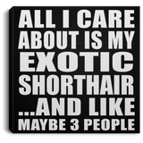 All I Care About Is My Exotic Shorthair - Canvas Square