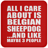 All I Care About Is Belgian Sheepdog - Drink Coaster