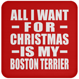 All I Want For Christmas Is My Boston Terrier - Coaster