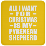 All I Want For Christmas Is My Pyrenean Shepherd - Coaster