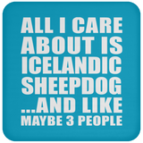 All I Care About Is Icelandic Sheepdog - Drink Coaster