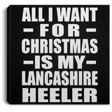 All I Want For Christmas Is My Lancashire Heeler - Canvas Square
