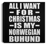 All I Want For Christmas Is My Norwegian Buhund - Canvas Square