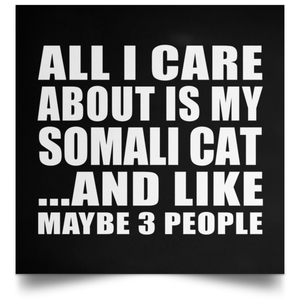 All I Care About Is My Somali Cat - Poster Square