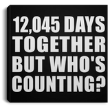 33rd Anniversary 12,045 Days Together But Who's Counting - Canvas Square
