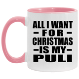 All I Want For Christmas Is My Puli - 11oz Accent Mug Pink