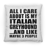 All I Care About Is My Italian Greyhound - Throw Pillow