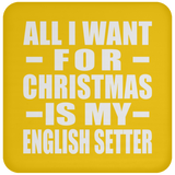 All I Want For Christmas Is My English Setter - Coaster