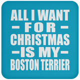 All I Want For Christmas Is My Boston Terrier - Coaster