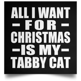All I Want For Christmas Is My Tabby Cat - Poster Square