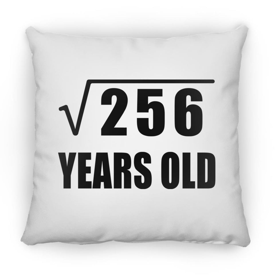 16th Birthday Square Root of 256 Years Old - Throw Pillow