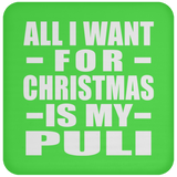 All I Want For Christmas Is My Puli - Coaster