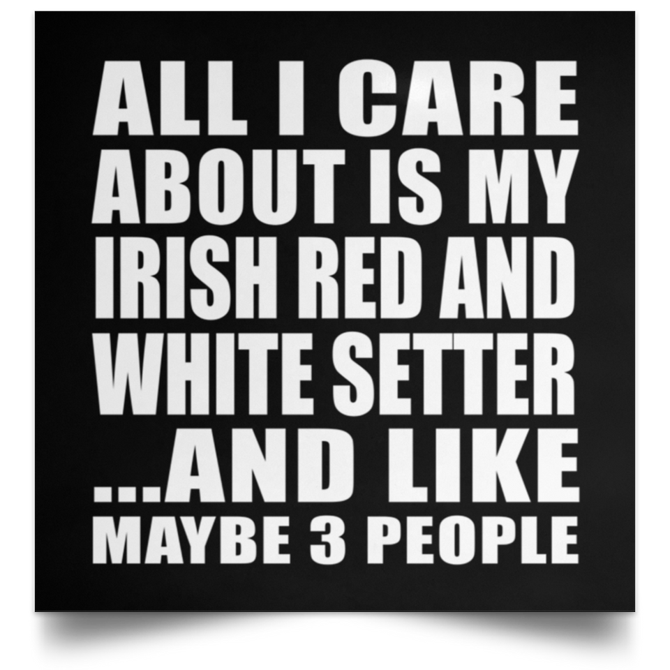 All I Care About Is My Irish Red And White Setter - Poster Square