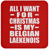 All I Want For Christmas Is My Belgian Laekenois - Coaster
