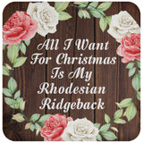 All I Want For Christmas Is My Rhodesian Ridgeback - Drink Coaster A