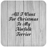 All I Want For Christmas Is My Norfolk Terrier - Drink Coaster F