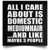 All I Care About Is Domestic Mediumhair - Poster Square