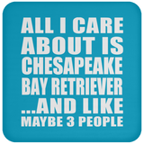 All I Care About Is Chesapeake Bay Retriever - Drink Coaster