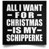 All I Want For Christmas Is My Schipperke - Poster Square